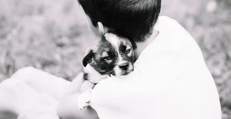 Luto por una mascota: ¿Cuándo consultar a un especialista?