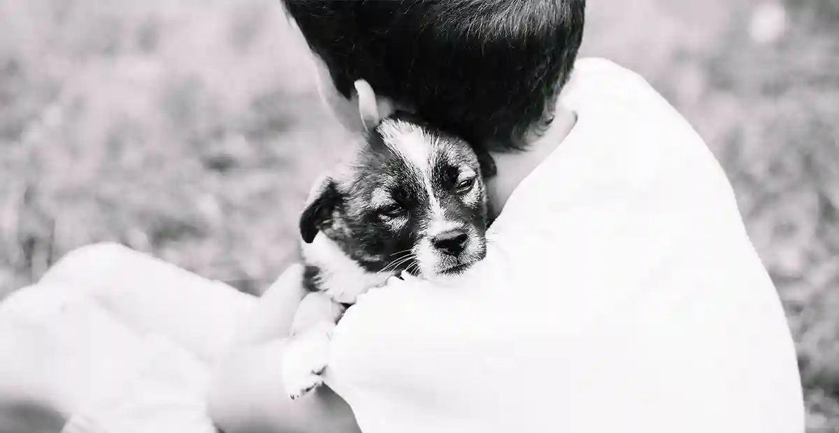 Luto por una mascota