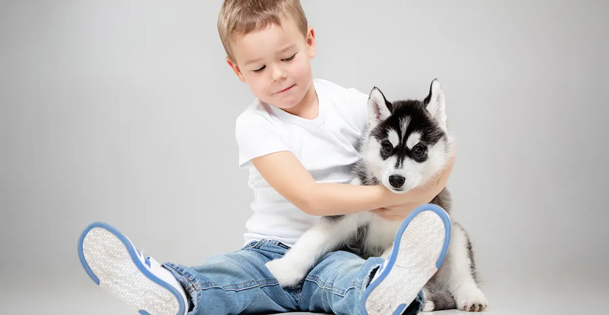 Muerte de una mascota