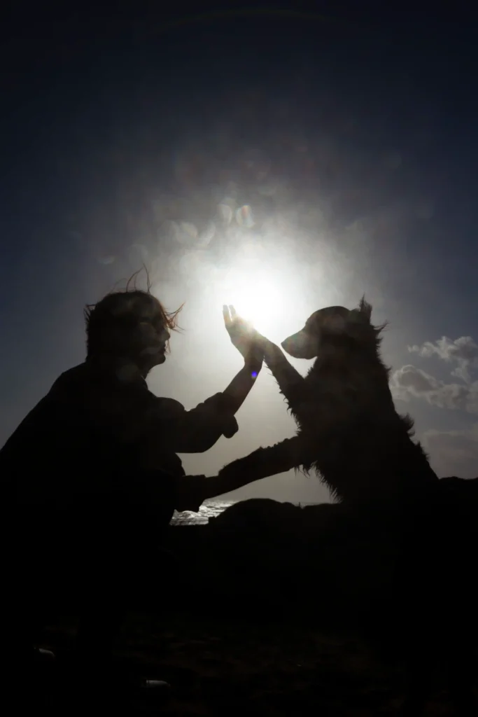 Duelo animal